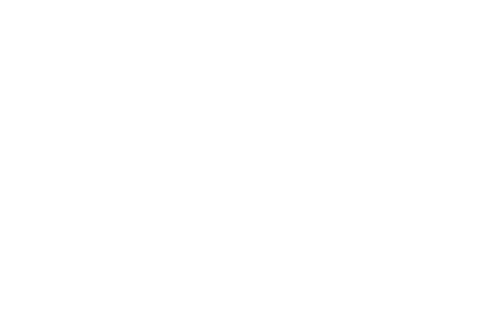 YUnia 6